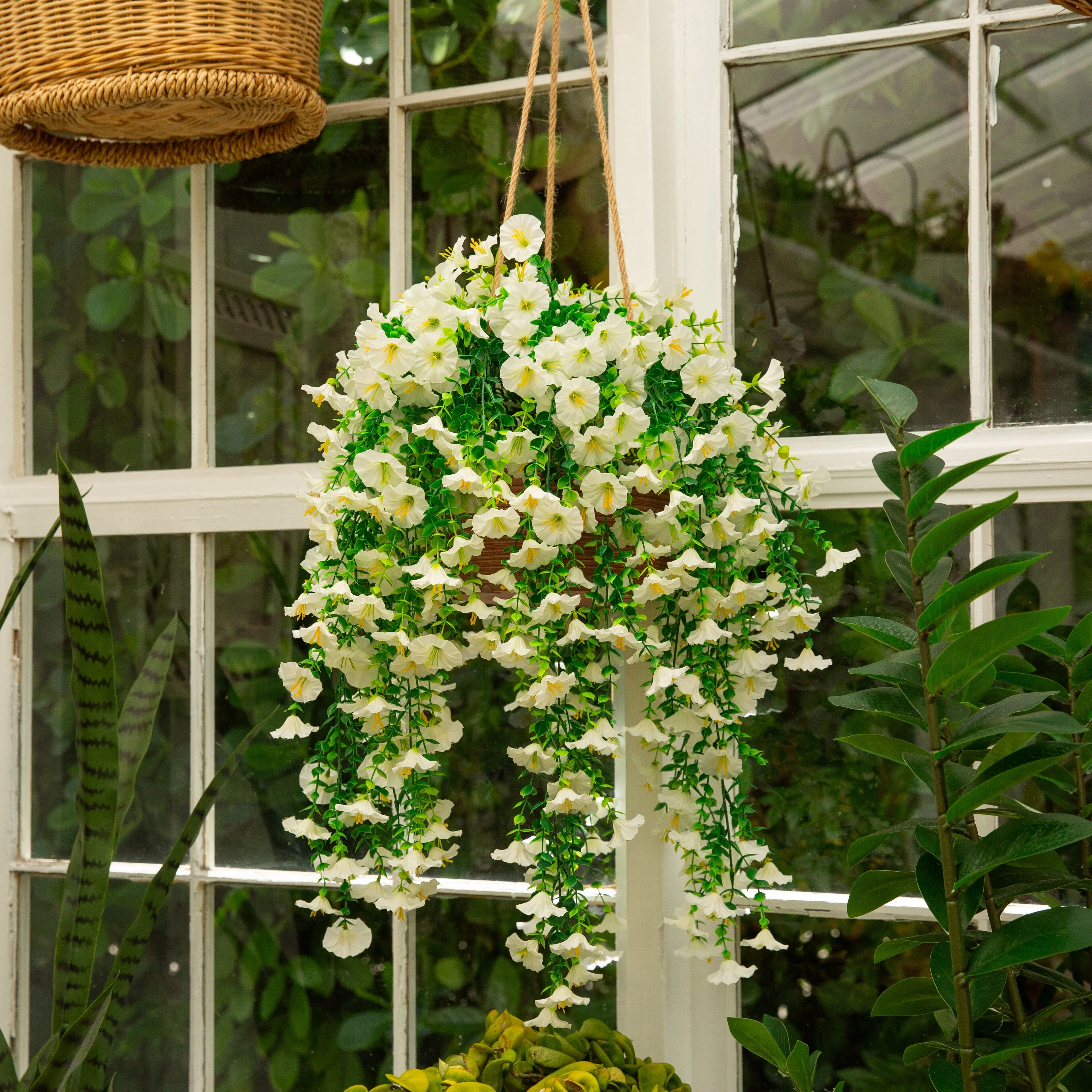 Product image 76
