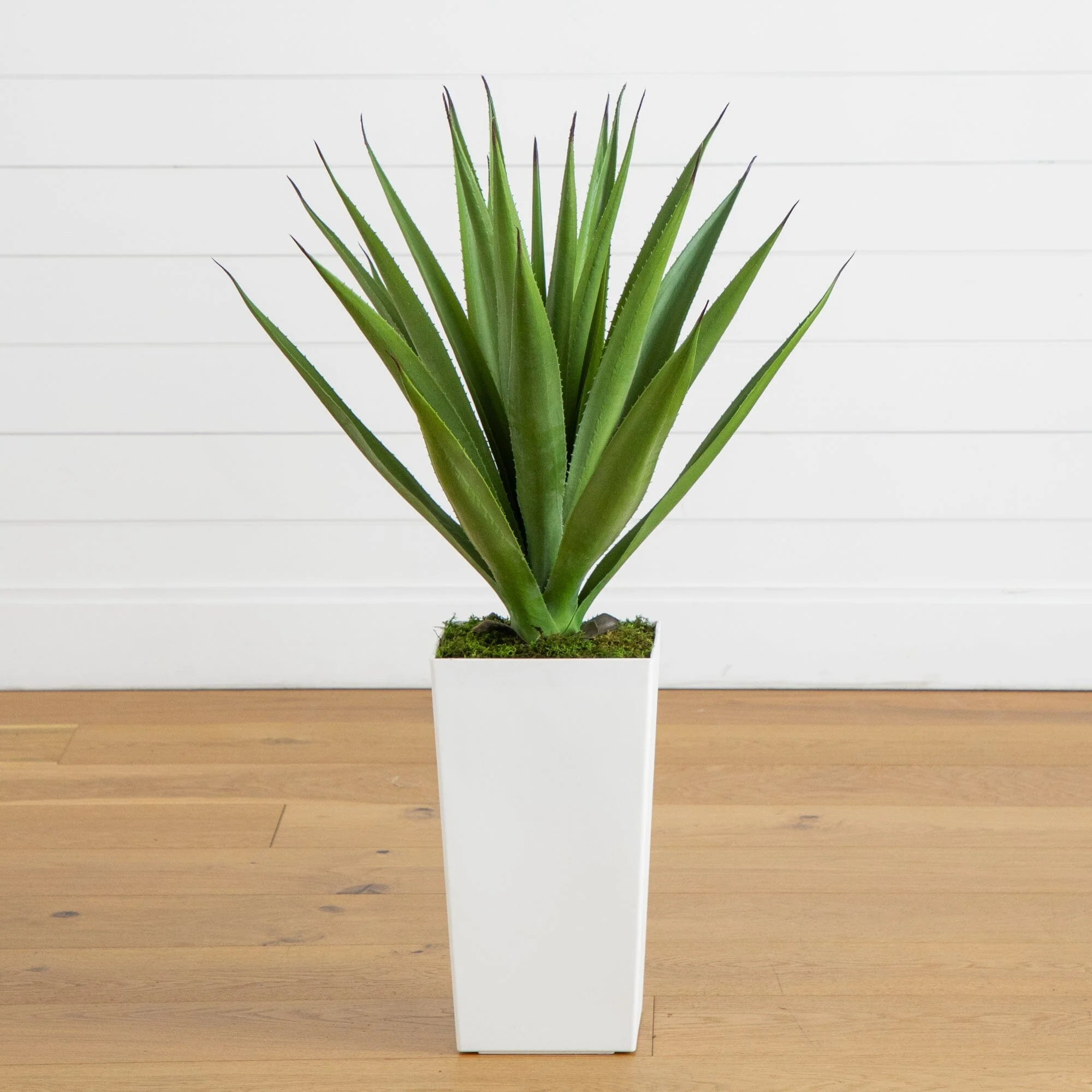 All Best Selling Products | Fake Plants